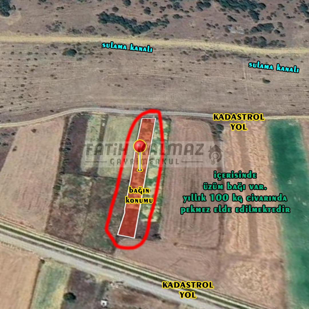 FATİH KALMAZ 'DAN SEYDİŞEHİR/TAŞAĞIL 'DA MÜSTAKİL BAĞ 900 M2
