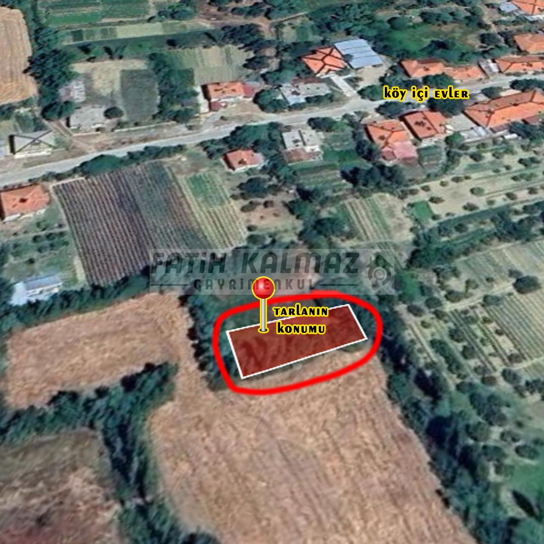 FATİH KALMAZ 'DAN SEYDİŞEHİR/TAŞAĞIL 'DA MÜSTAKİL TARLA 566 M2