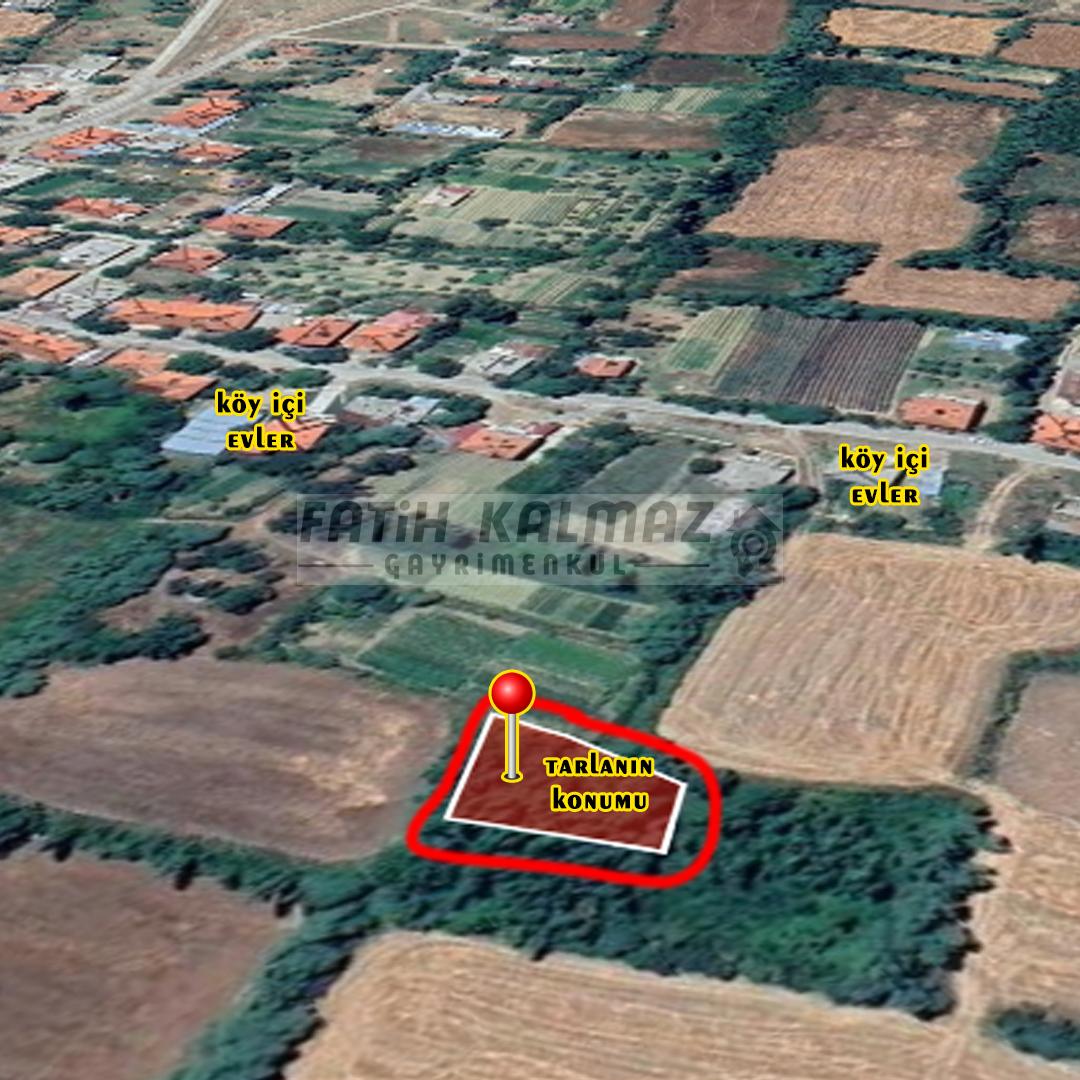 FATİH KALMAZ 'DAN SEYDİŞEHİR/TAŞAĞIL 'DA MÜSTAKİL TARLA 777 M2