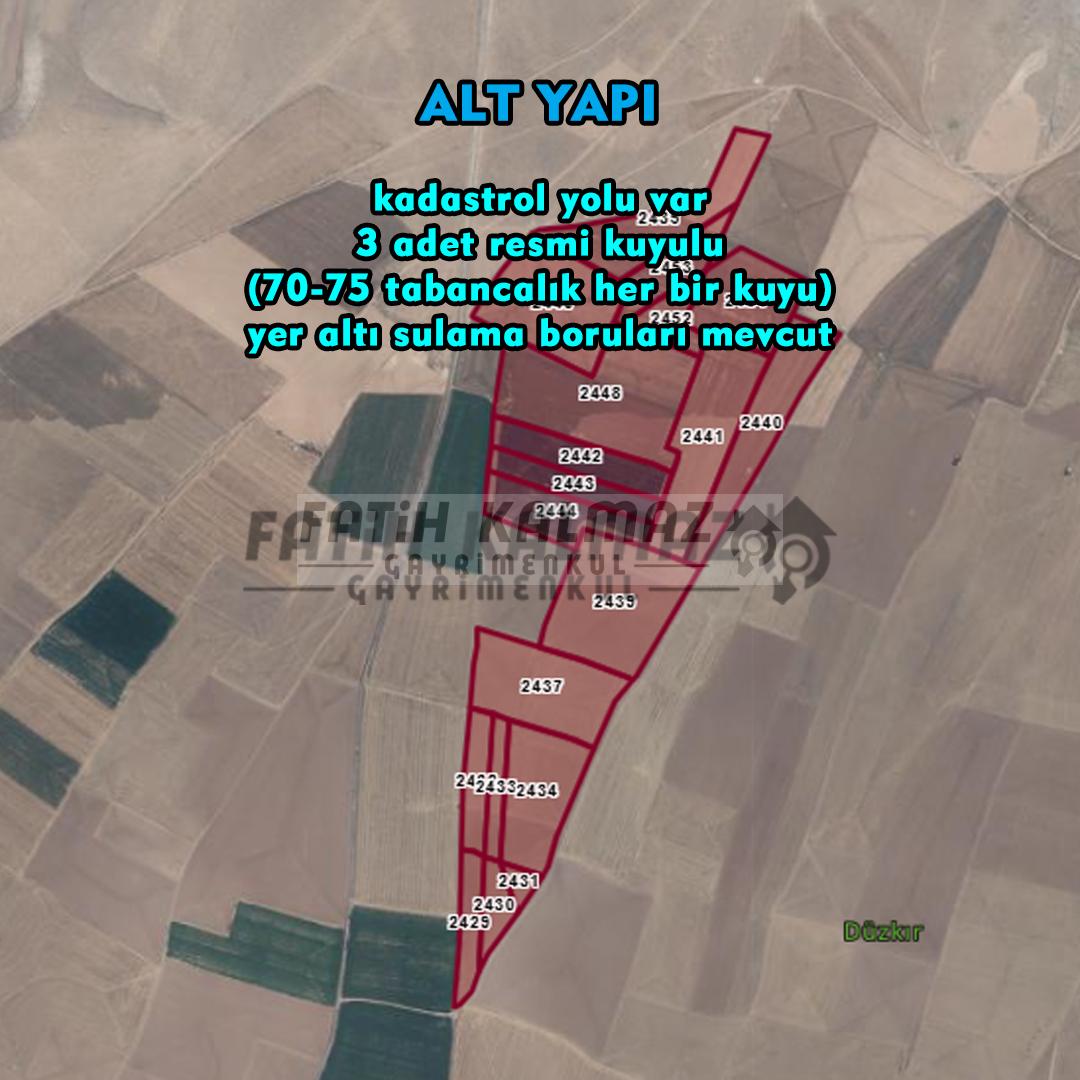 Cihanbeyli İnsuyu'da Blok Halinde Sulak Tarla - 619.600 M2