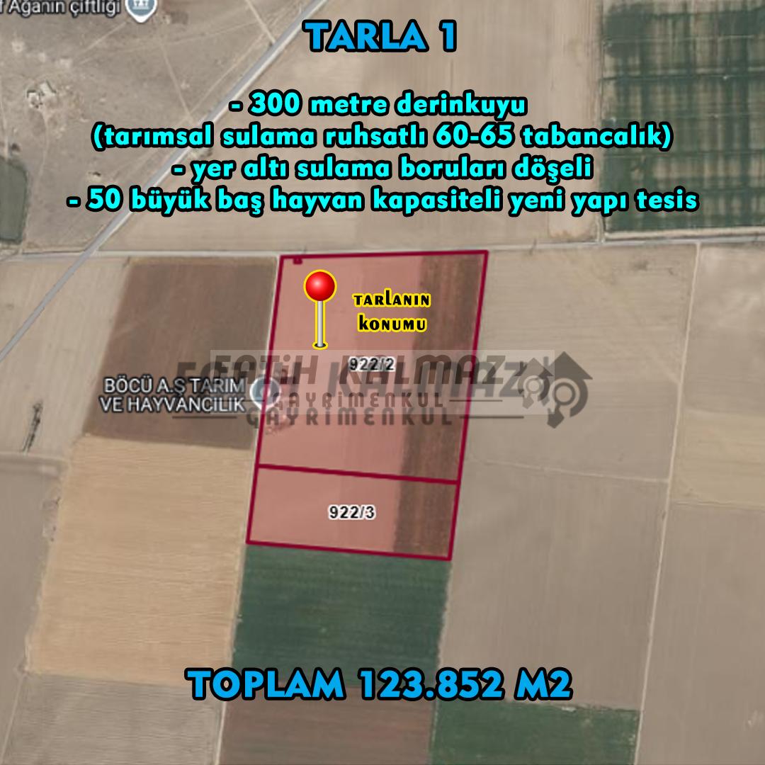 Karatay İsmilde Satılık Sulak Tarla - Toplu Satılık - 309.706 M2