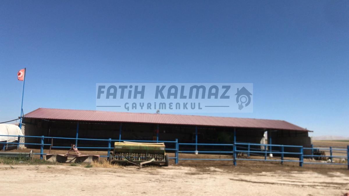 Karatay İsmilde Satılık Sulak Tarla - Toplu Satılık - 309.706 M2