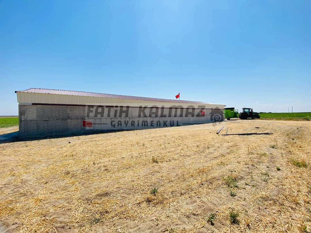 Karatay İsmilde Satılık Sulak Tarla - Toplu Satılık - 309.706 M2
