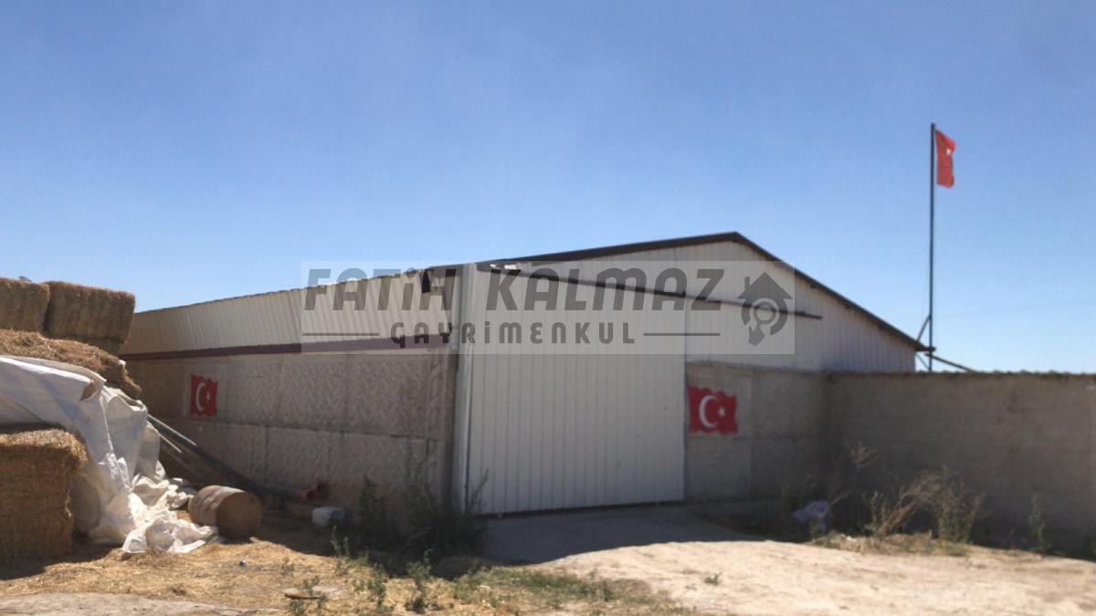 Karatay İsmilde Satılık Sulak Tarla - Toplu Satılık - 309.706 M2