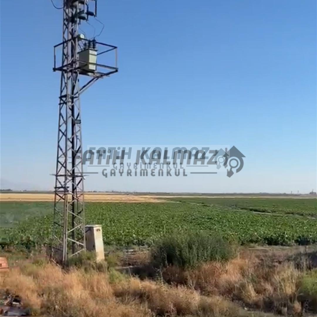 Karatay İsmilde Satılık Sulak Tarla - Toplu Satılık - 309.706 M2